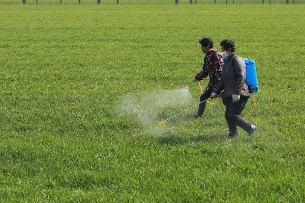 乳氟禾草灵与乙羧氟草的区别,使用方法及防治对象