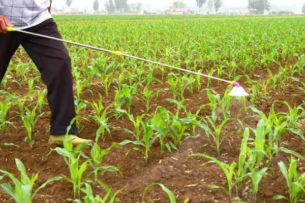 什么是碱性农药,和酸性农药的区别