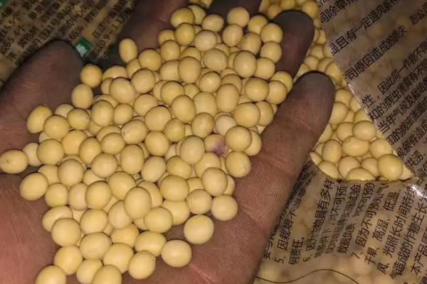 大豆品种1152特性,和黑河43区别