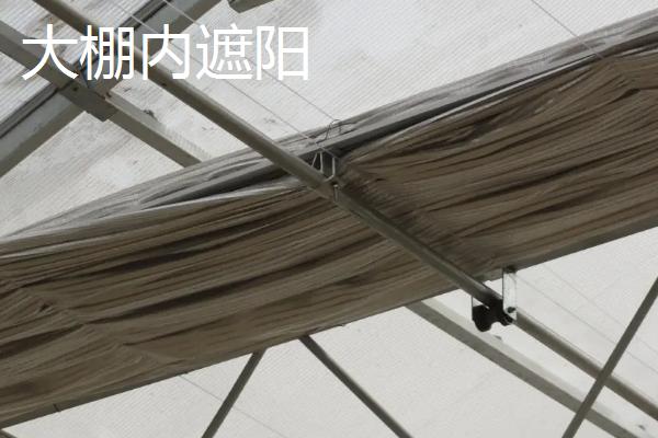 大棚棉被什么材料做的最保温,内遮阳和外遮阳有什么区别