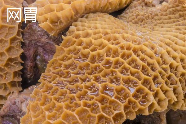 牛有几个胃分别是什么，哪个才是真正的胃