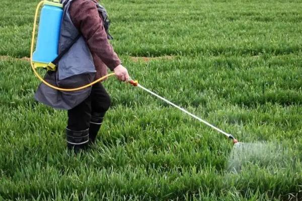 乳氟禾草灵与乙羧氟草的区别,使用方法及防治对象