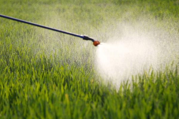 乳氟禾草灵与乙羧氟草的区别,使用方法及防治对象