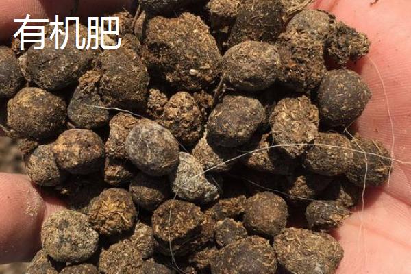 有机肥和复合肥的区别