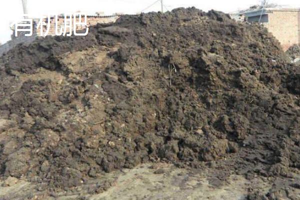 有机肥和复合肥的区别