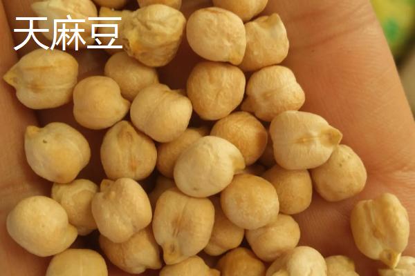 天麻豆与鹰嘴豆的区别