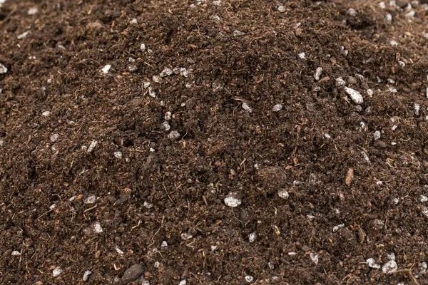 花卉文竹养殖方法，施什么肥料好