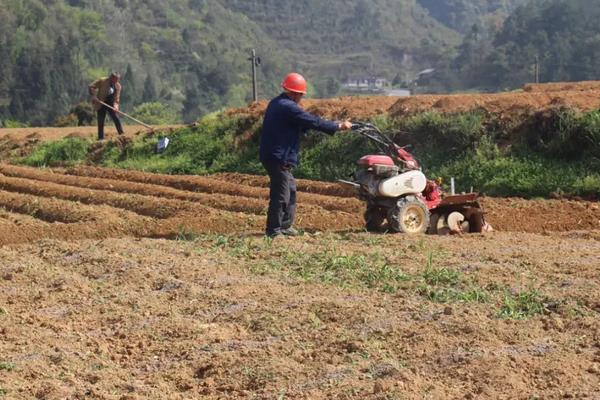 辣椒起垄有几种方式,附辣椒种植方法