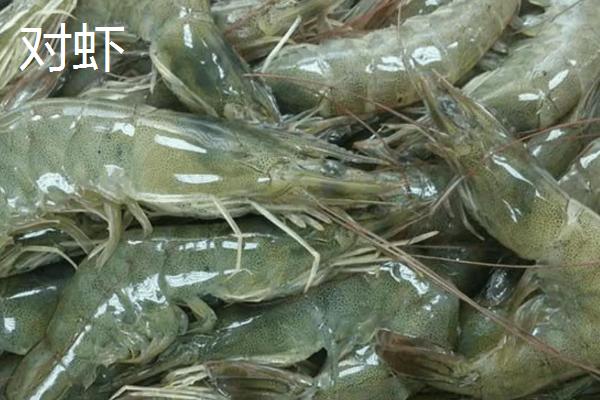 海虾种类,与淡水虾有什么区别