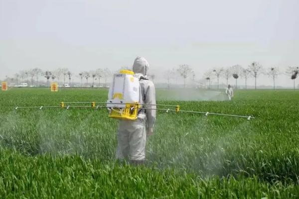 敌草胺的使用范围,与乙草胺有什么区别