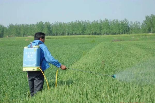 敌草胺的使用范围,与乙草胺有什么区别