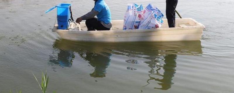 生石灰的正确使用方法，生石灰和熟石灰的区别