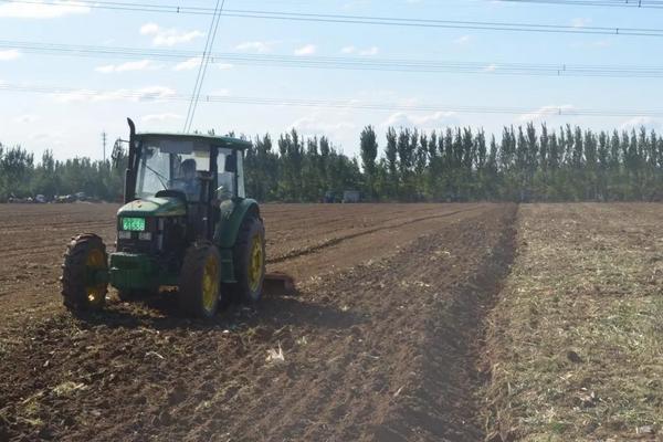 小麦种子过了保质期能种吗,怎么种