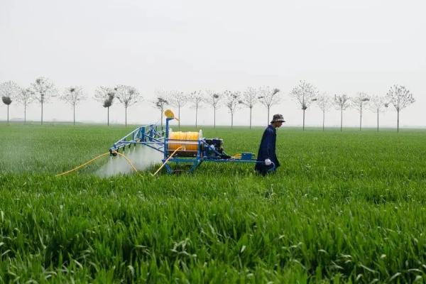 有机铜不能和哪些混用,和无机铜有什么区别