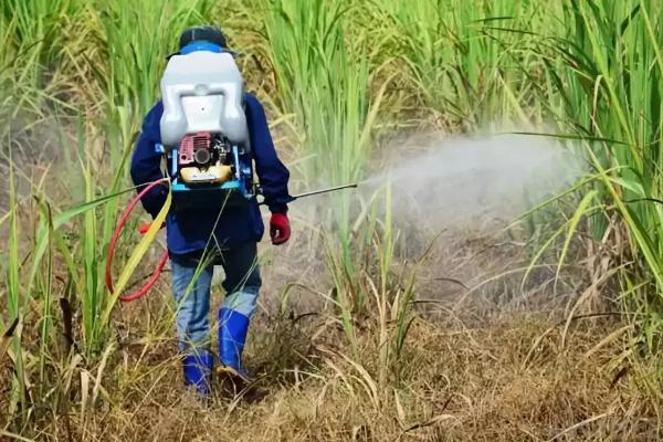 有机铜不能和哪些混用,和无机铜有什么区别