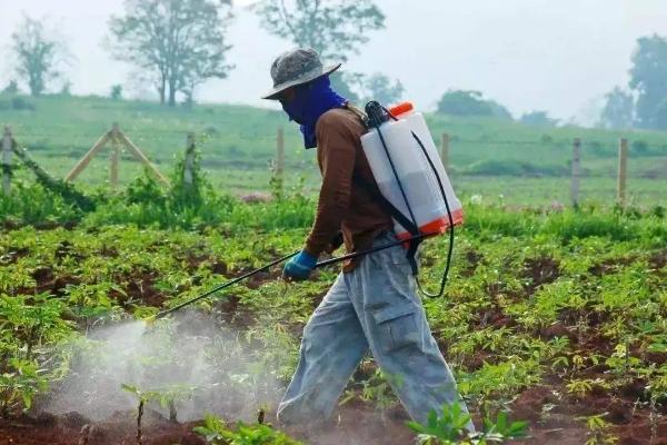 醚菌酯不能跟什么混用,和嘧菌酯有什么区别