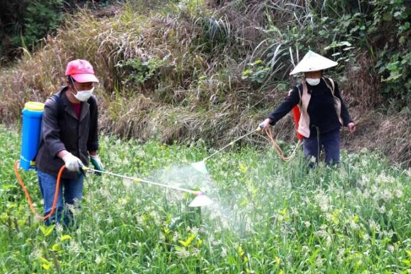 醚菌酯不能跟什么混用,和嘧菌酯有什么区别