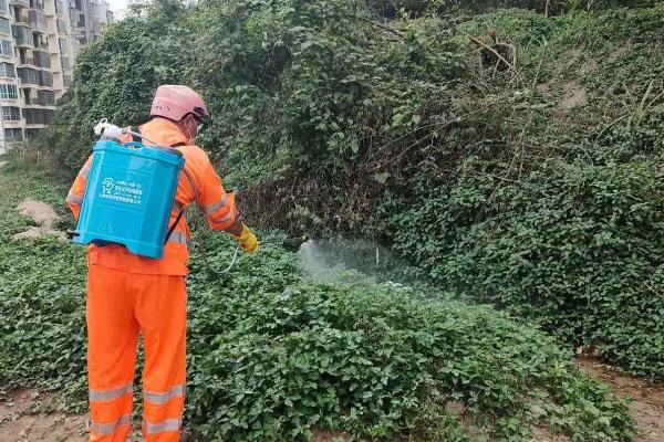 比唑醚菌酯注意事项,与乙蒜素有什么区别