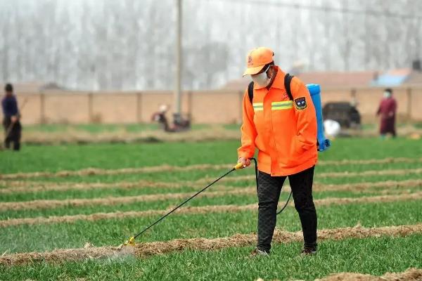 比唑醚菌酯注意事项,与乙蒜素有什么区别