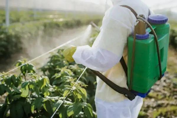 比唑醚菌酯注意事项,与乙蒜素有什么区别