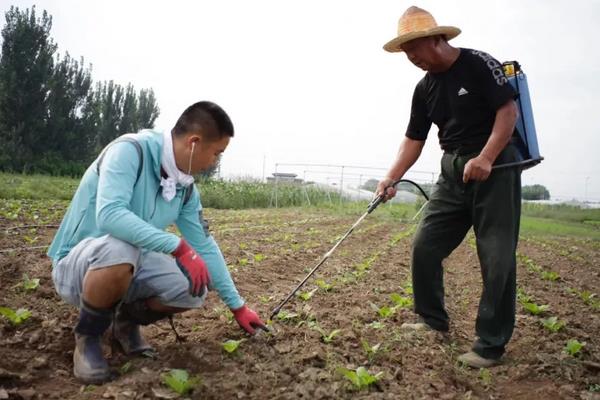 哪些农药既防虫治病又不污染环境且取材方便操作简单,矿物油可以和哪些农药混配