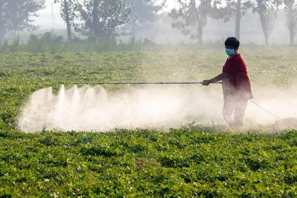 哪些农药既防虫治病又不污染环境且取材方便操作简单,矿物油可以和哪些农药混配