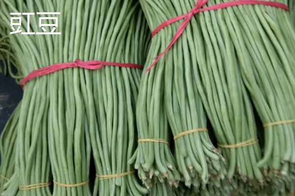 豇豆与熊猫豆的区别