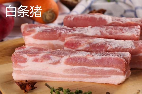 白条猪与普通猪的区别