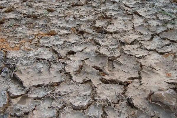 土壤盐渍化的改良措施,土壤盐渍化是如何形成的