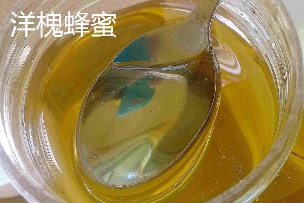 紫云英蜂蜜和洋槐蜂蜜有什么区别