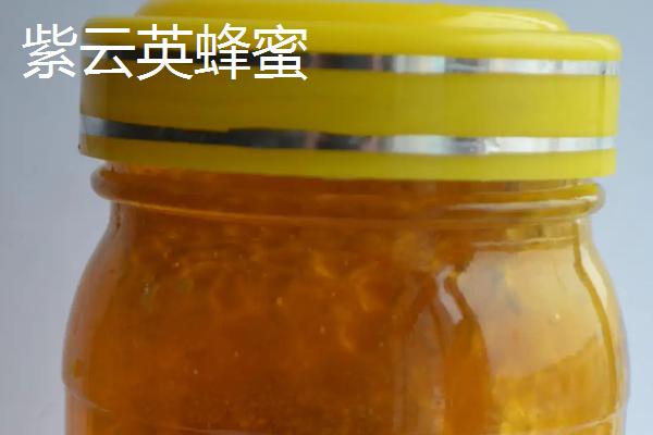 紫云英和椴树蜂蜜区别