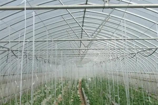 大棚分为几种,大棚怎么搭建