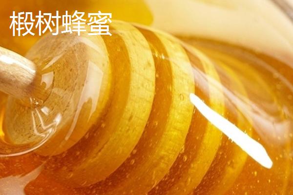 紫云英和椴树蜂蜜区别