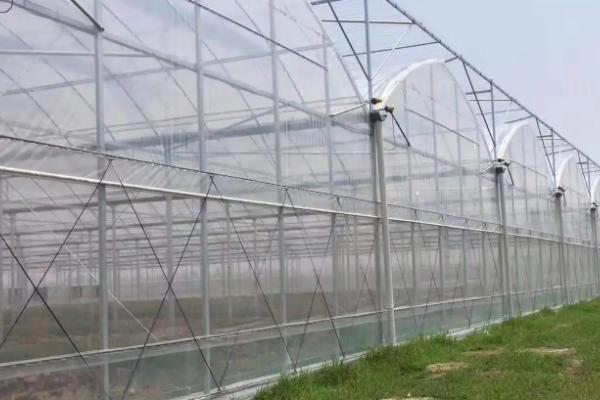 大棚分为几种,大棚怎么搭建