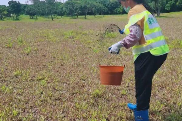 锌腐酸的作用,和黄腐酸有什么区别