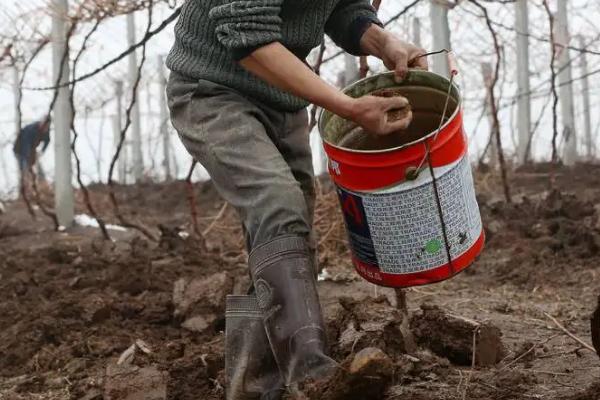 锌腐酸的作用,和黄腐酸有什么区别