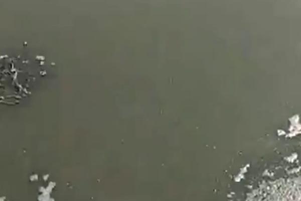 猪场psy是什么意思,猪场污水如何处理