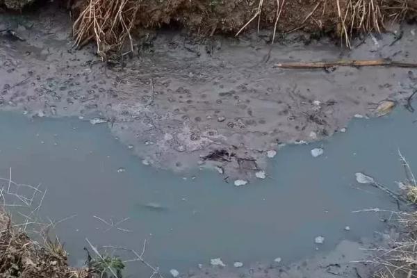 猪场psy是什么意思,猪场污水如何处理