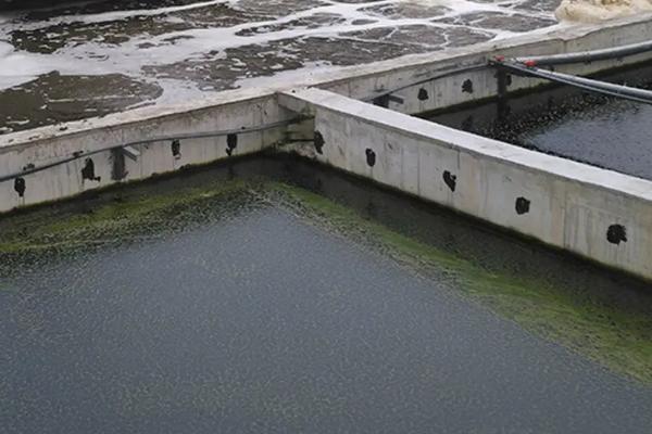 猪场psy是什么意思,猪场污水如何处理