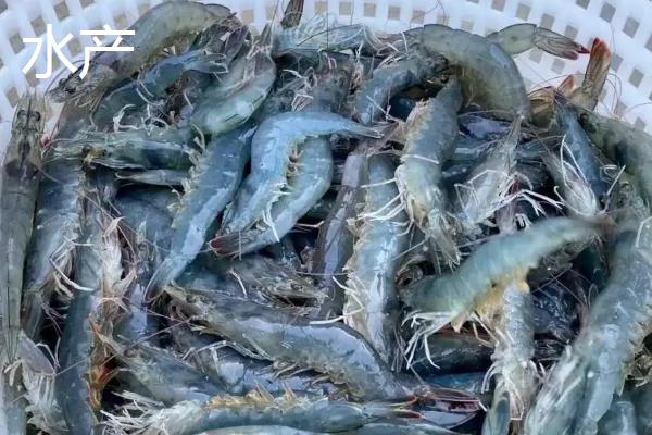 水产和海鲜有什么区别