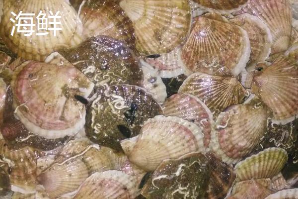 水产和海鲜有什么区别