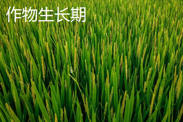 作物生长期和气候生长期的区别