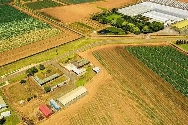 混合农业区位条件，农业生态系统和自然生态系统的区别