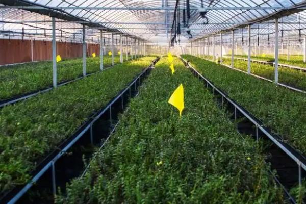 农业的地位和重要性,农业的特点