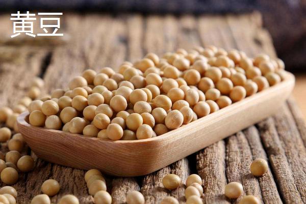 毛豆与黄豆的区别