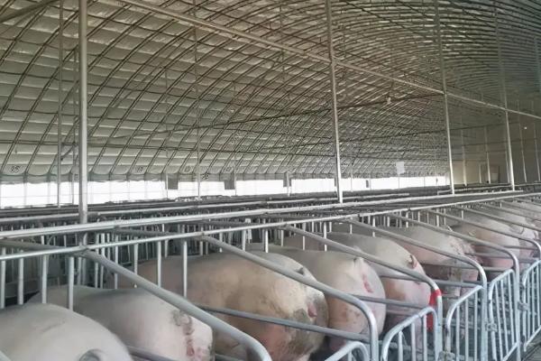 养猪场需要的工具,猪场建设用地怎么审批