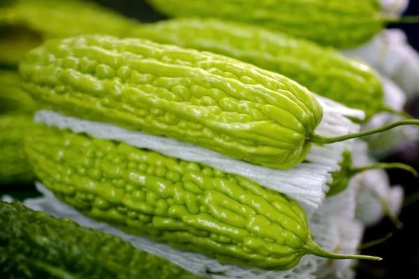 春节后种什么农作物