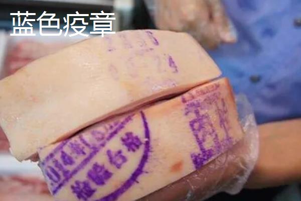 猪检疫章颜色区分