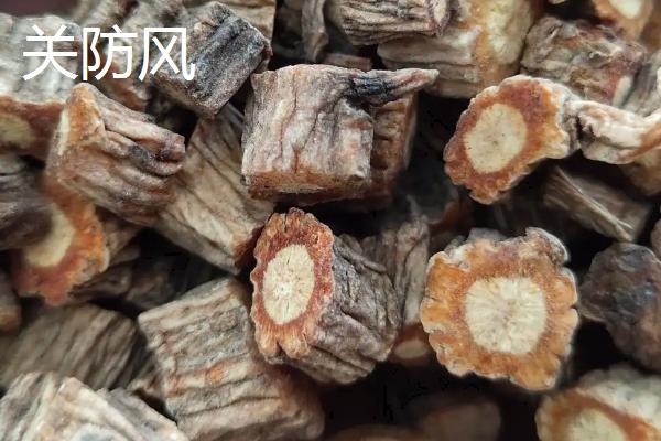 防风品种怎么分别