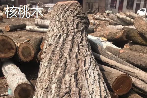 核桃木和胡桃木的区别